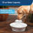Anti-Skid Pet Fountain-100098366
