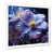 White Single Picture Framed