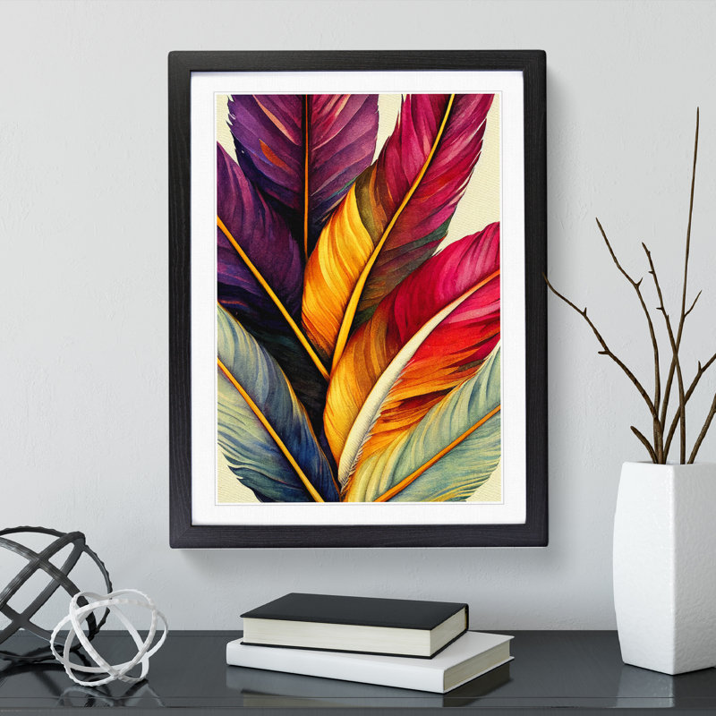 Beauteous Feathers - Single Picture Frame Print, 64cm H x 46cm W x 2cm D, Black Framed