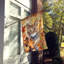 Chat en feuilles d'automne-112700470