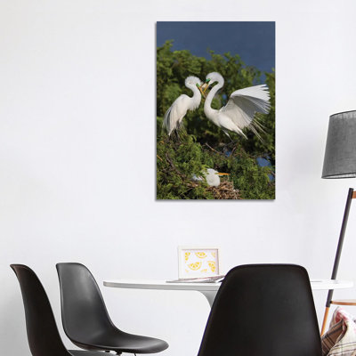 Great Egret Landing At Nest by Larry Ditto - Wrapped Canvas Gallery-Wrapped Canvas Giclée