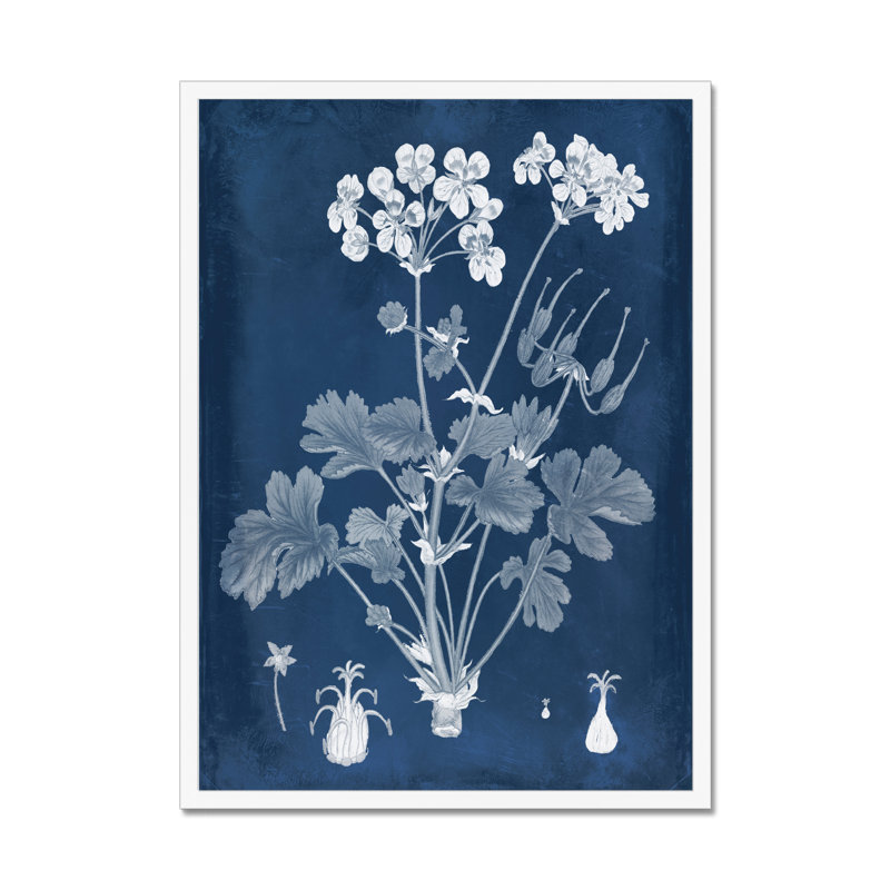 Botanical in Indigo III 1 Piece Painting, 50cm H x 34cm W, White Framed Paper Print