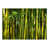 Bright Green is unavailable
