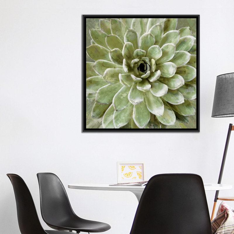 «Succulent VI», impression sur toile, H 18 po x l 18 po x P 1,5 po, Toile avec cadre noir, Pas de tapis