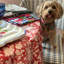 Carmen Round Tablecloth-1942308451