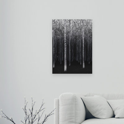 The Forest For The Trees by David Scarbrough