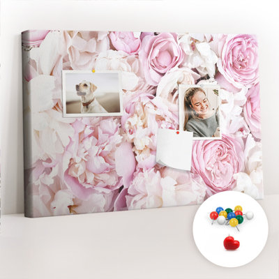Anikait Cork Corkboard / Bulletin Board