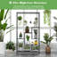Plant Stand - Set of 10