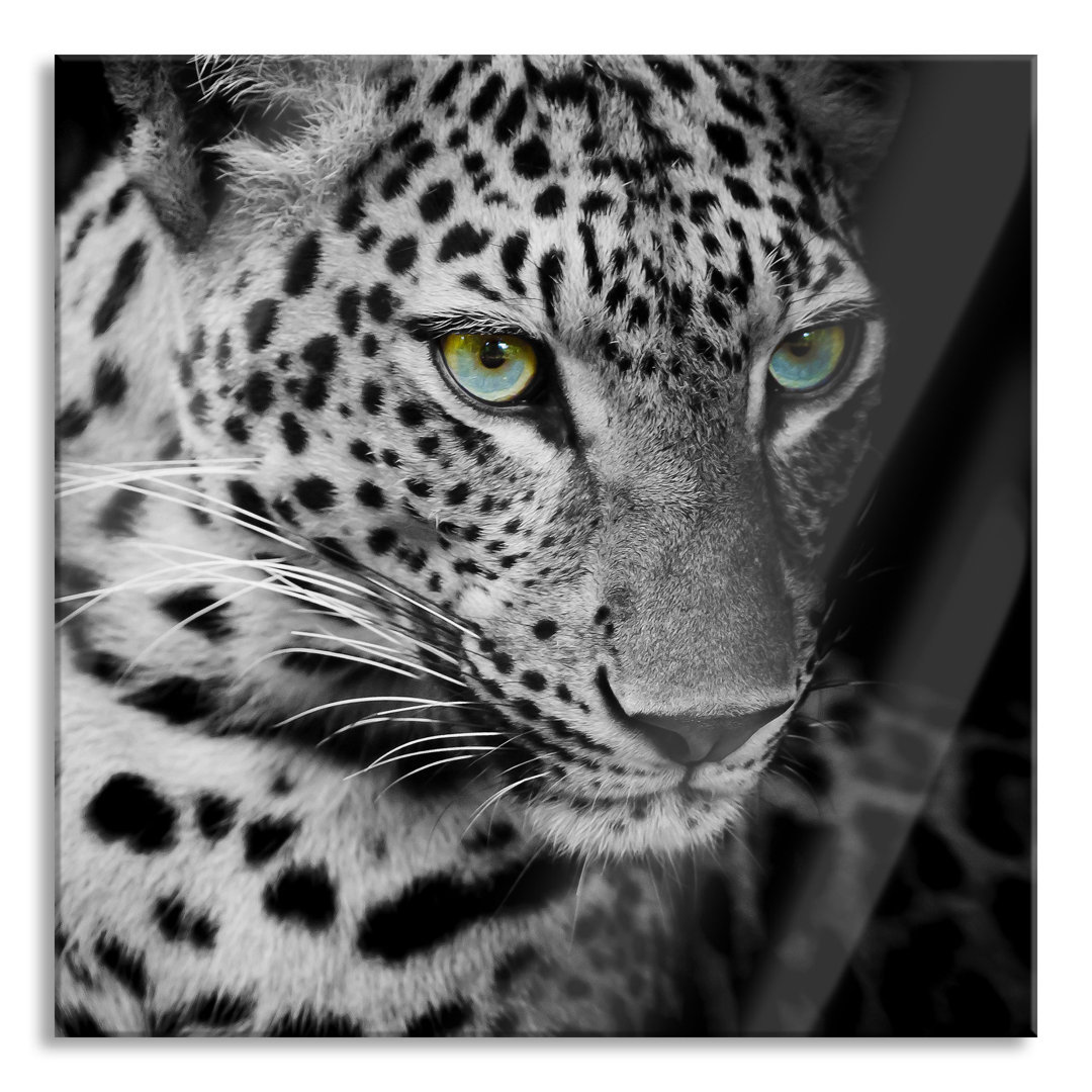 Glasbild Leopardenkopf