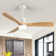 Ceiling Fan with LED Lights