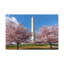 No Frame Print on Canvas-294065391