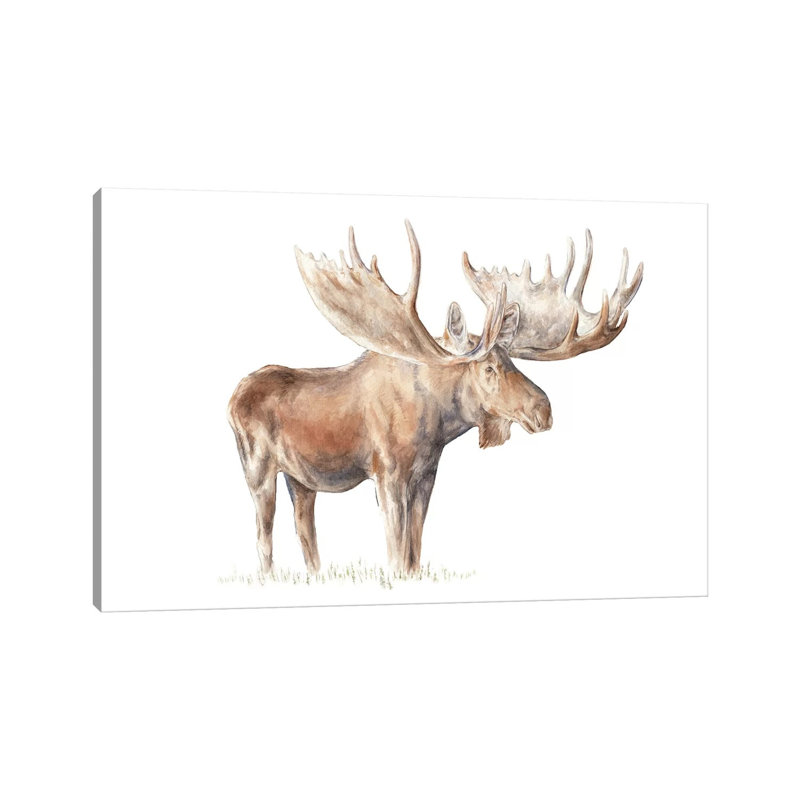 Moose 1 Piece Wrapped Canvas Painting, 20.32 cm H x 30.48 cm W