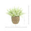 Heather dans un pot de paille-1477215128