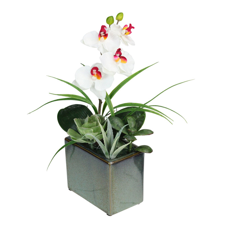 Arrangement floral orchidée artificielle en pot 12 po et plantes succulentes