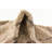 Vine Indoor Rug-40286783