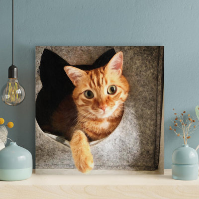 «Orange Tabby Cat 2», reproduction d'art carré sur toile tendue