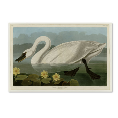 Mid-Century Painting Print
