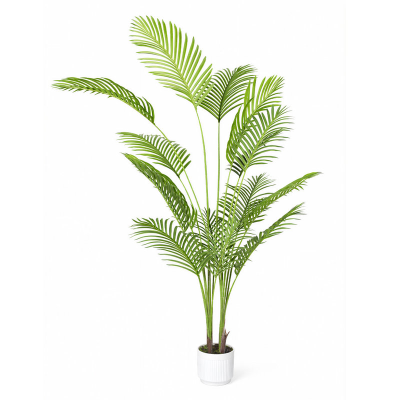 180cm Plant