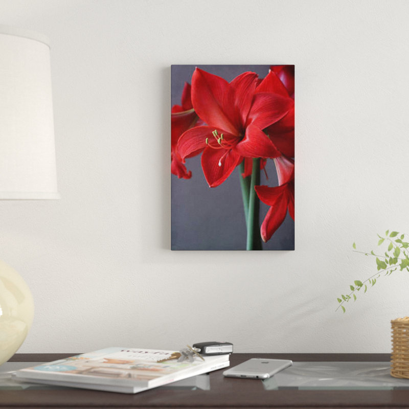 Amaryllis rouge, impression sur toile, H 26 po x l 18 po x P 1,5 po, Toile tendue, Pas de tapis