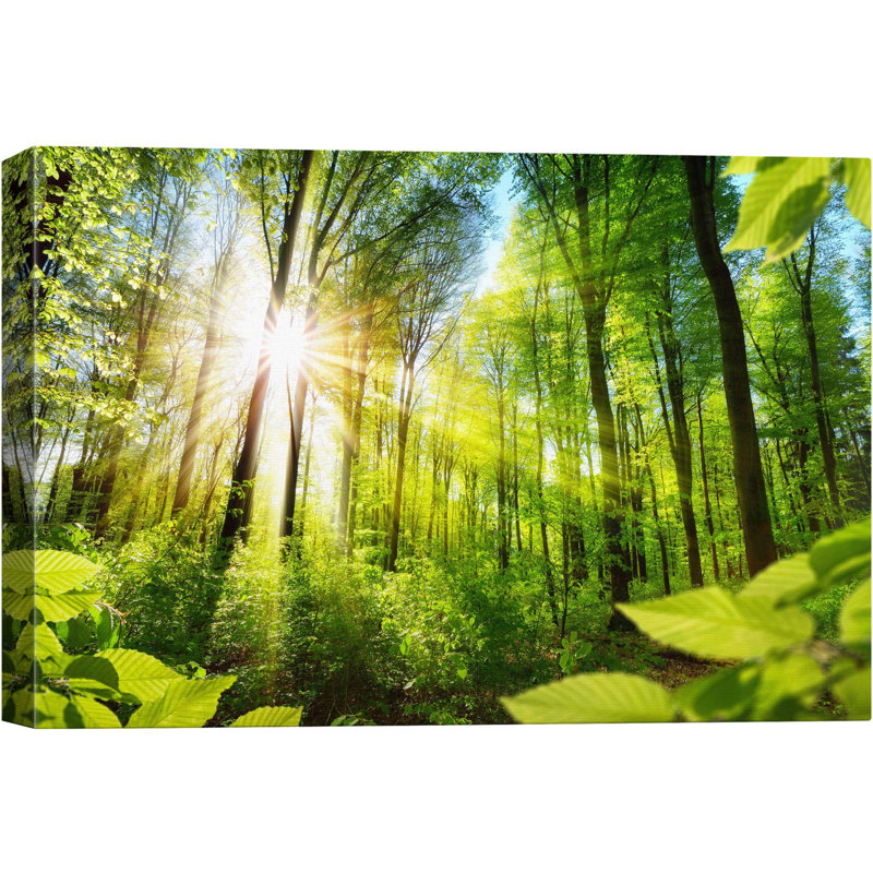 Paysage naturel «Sunshine Through The Forest» sur, H 24 po x l 36 po