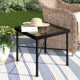 Lucier 21'' Glass Outdoor Side Table