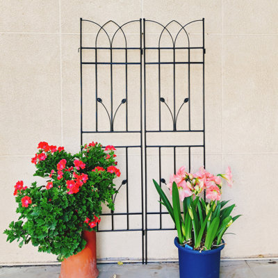 Bandon 2-Pack 71" Rustproof Metal Garden Trellis | Heavy-Duty Climbing Plant Support for Outdoor Gardens & Patios