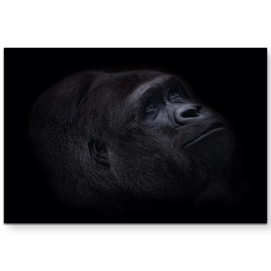 Leinwandbild Dunkles Portrait eines Gorillas