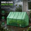 Greenhouse-123054201
