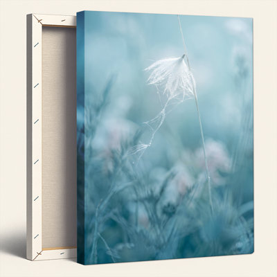 «Gallery Wrap», art mural sur toile pour le salon, la chambre à coucher, le bureau ou le vestibule - décoration murale décorative avec champ de plumes