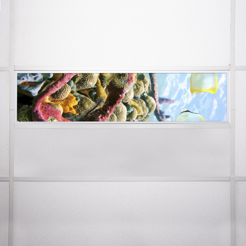 Ocean Rectangle Fixture Component Ceiling Light