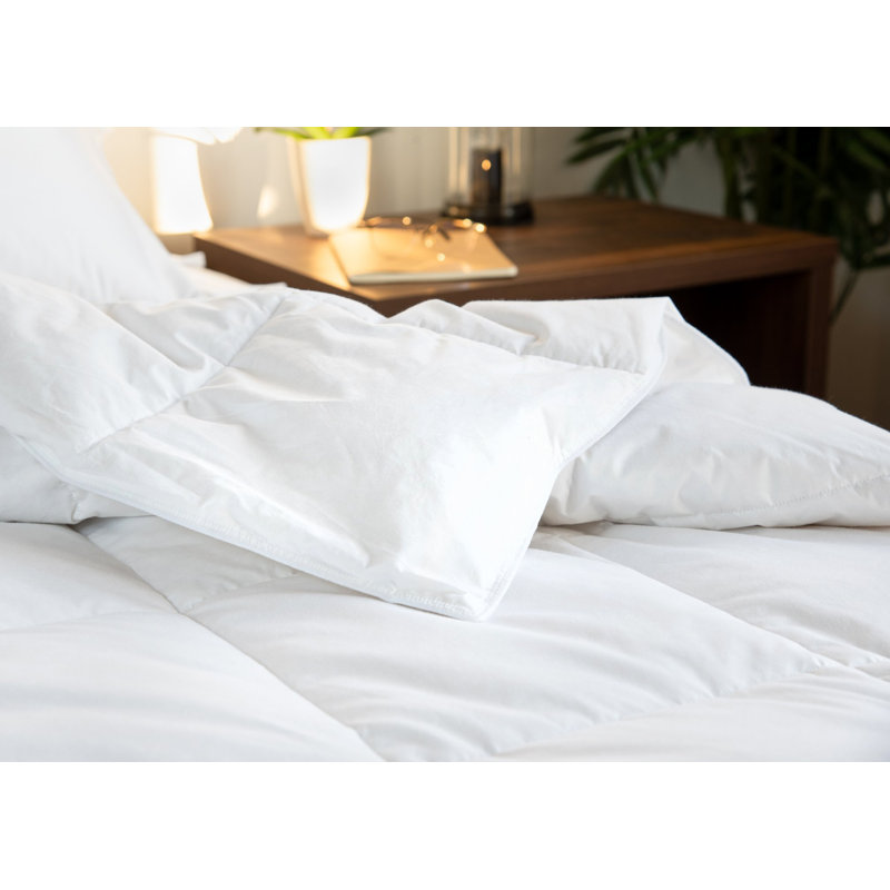 Édredon en duvet toutes saisons, Très grand