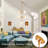 5-Light Dimmable Modern Sputnik Glass Chandelier