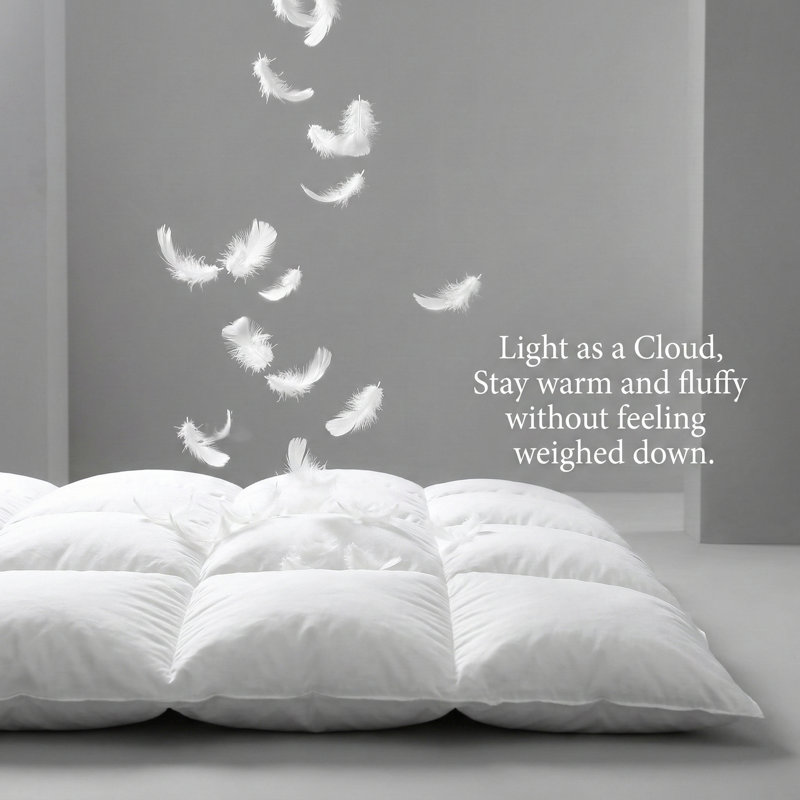  Housse de couette en duvet 100% coton toutes saisons, Très grand lit
