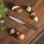 Couteau d'office 3,5 po Babish-122000766