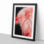Pink Flamingo - Picture Frame Painting Print-55583964-55583969