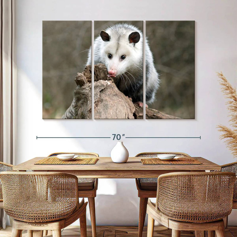 Brampt Opossum, 42" H x 65" W
