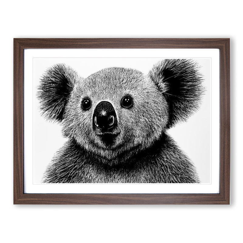 Monochrome Koala Bear Vol.5 - Framed Print, 46cm H x 64cm W x 2cm D, Brown Framed