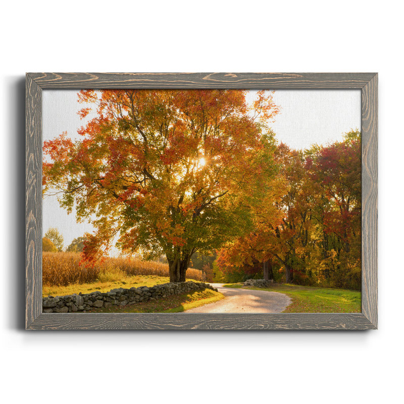 «Maple Tree Drive» - Toile encadrée de qualité supérieure - prête à être accrochée, Gris, H 24 po x l 18 po x P 1,5 po
