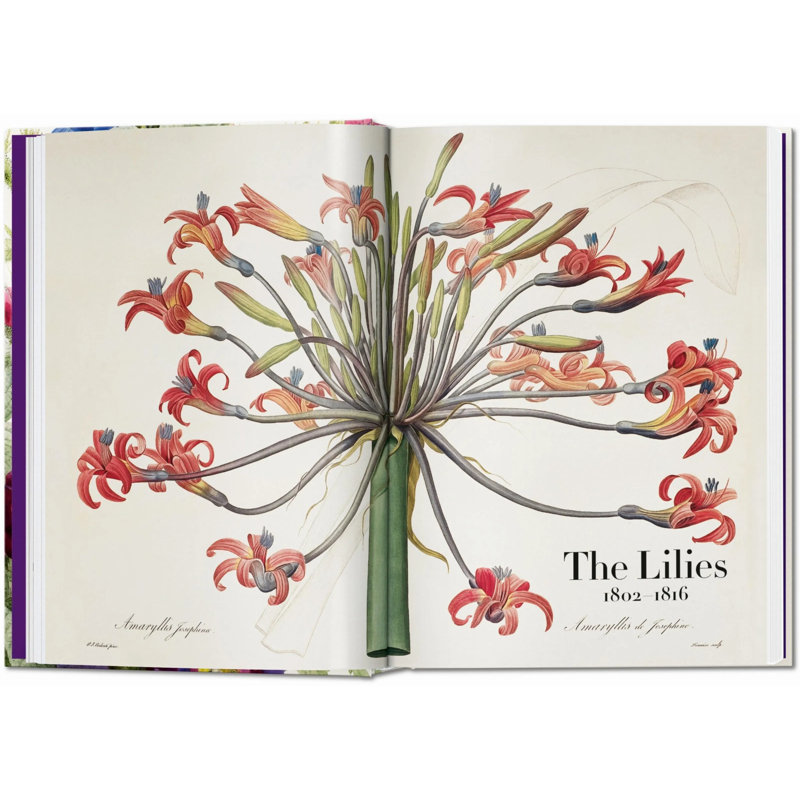 Redouté. The Book of Flowers. 45th Ed.
