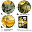 «Yellow Buttercups Realistic Radiance II» sur toile-1435386676-1472643715