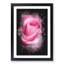 Pink Rose Petals - Picture Frame Graphic Art Print-56857698-56857702
