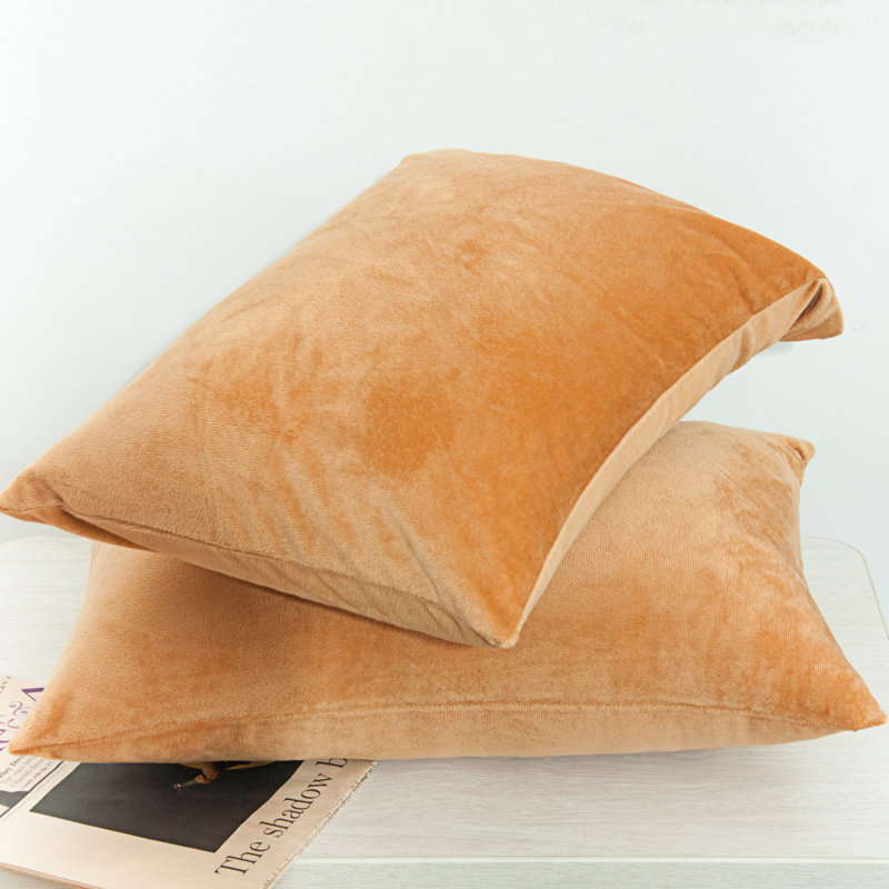 Zippered Pillowcases, Luxury Velvet Flannel Pillow Cases, Super Soft - NTBAY, 20" x 30", Camel
