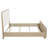 Ladera 56-inch Queen Panel Bed Light Elm-1887174860