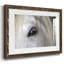 Balearic Island Horse, impression sur papier-835999621-835999623