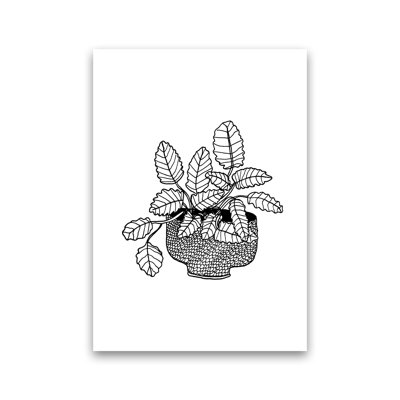 Peppermint by Carissa Tanton - Print