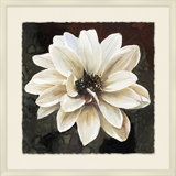 White Bloom 1 Print