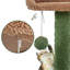 Tour pour chaton avec cactus Cleobury