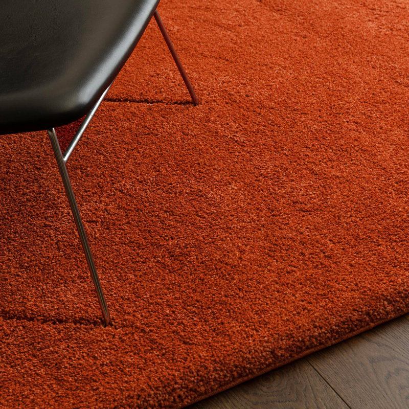 Taiwo Shaggy Orange Area Rug, Rectangle 80 x 150 cm