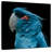 Brampt Blue Bird Portrait-109358092