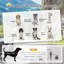 Collapsible Pet Carrier-983548233-983548245
